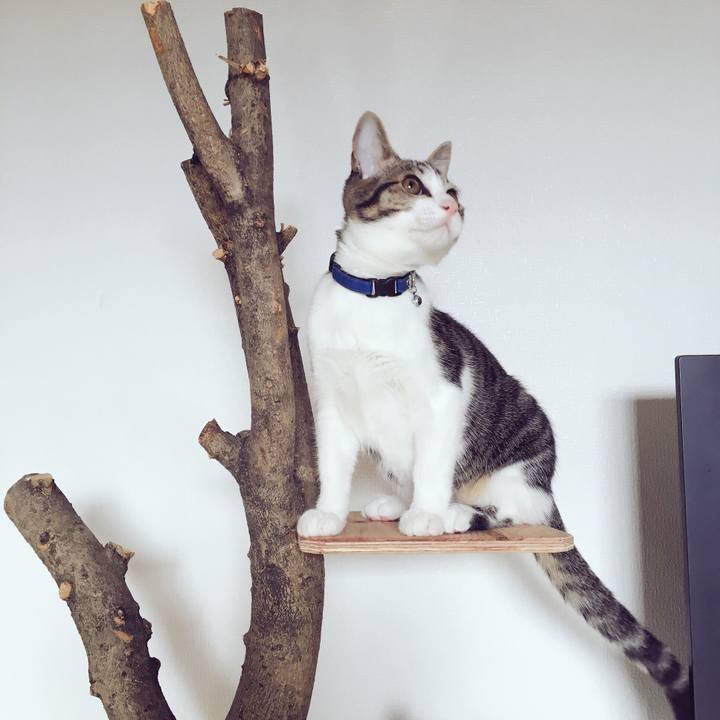 32cbdd05 f060 4f34 b809 6110bbb14815