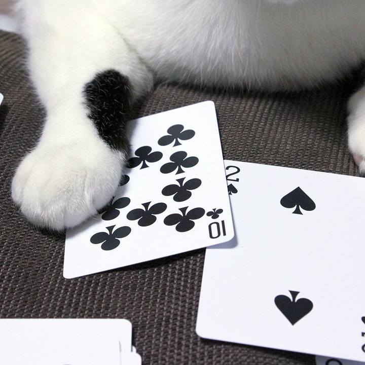 32ccca43 007f 4ec6 9eea 6f3f6ef263e0