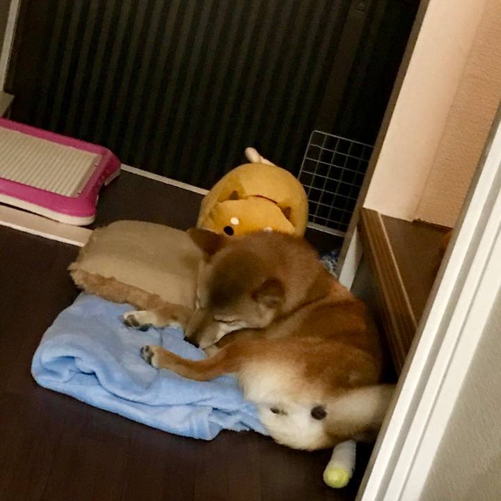 32ccda8a d307 49d2 bd3b dc53e9e1437a