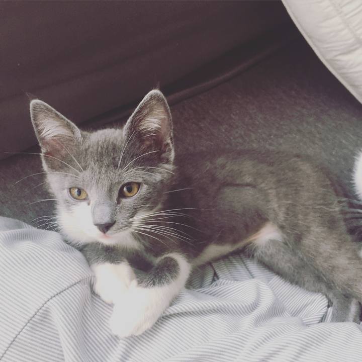 32cd275f c717 48d2 925e aa31115954f3