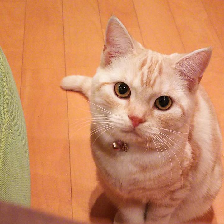 32ce2c46 e02c 4fb7 8d4c 49037457b3a6