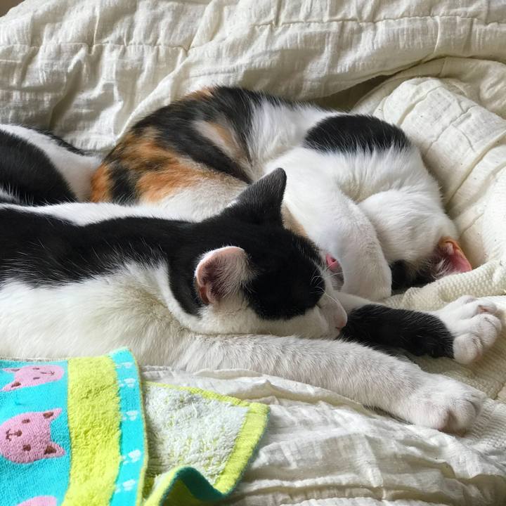 32ce7691 5df7 408b 9ac0 11a1b2fb1fef