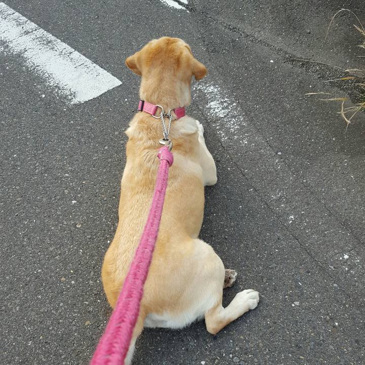 32ceb0b4 4bbd 4e81 9895 7f96b07ed10b