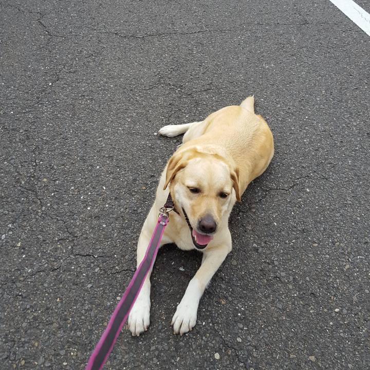 32cec2c6 56e2 40ad ab95 46342825a41a