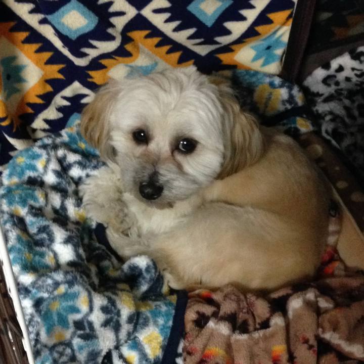 32cf1658 6c94 4e7e a920 f00c7ea9747f