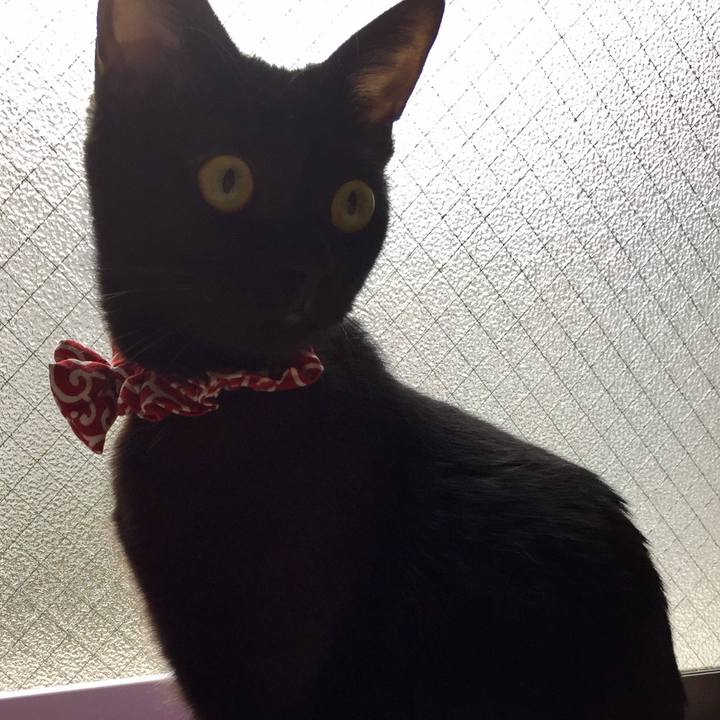 32d08645 2b2f 4d34 948d 4a1ca1d727b7