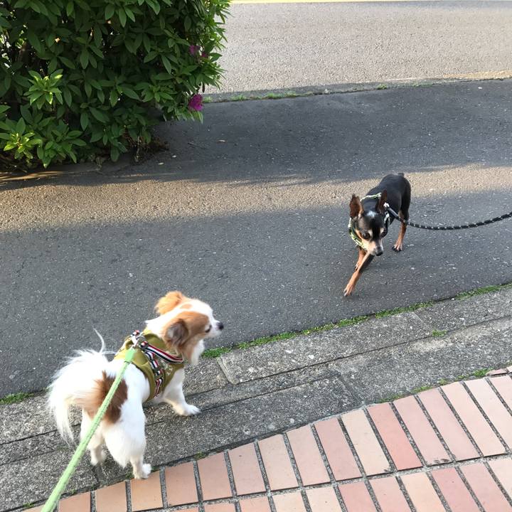 32d09622 7753 41a3 9f1a 80abf4db53f0