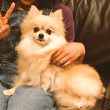 32d129b5 b0f8 480e aa55 be08b09a840f