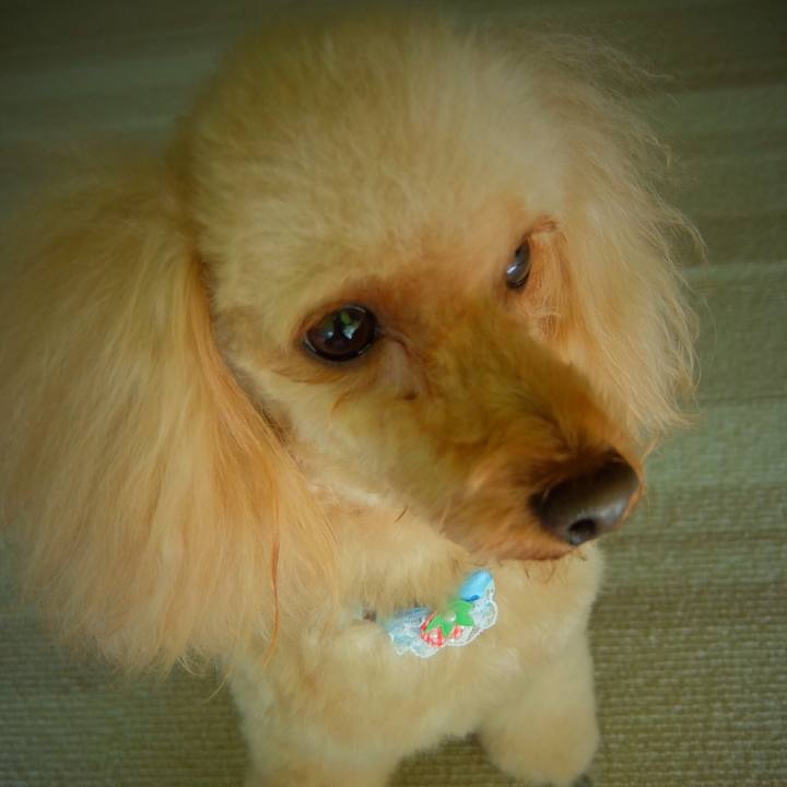 32d18801 b37a 4d0c b0d1 1bb38b6690f3