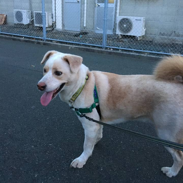 32d197b8 e539 4ab8 9fc6 d1d349125ab6