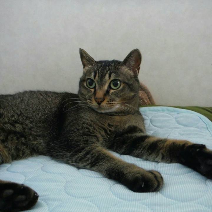 32d1cbf9 2c42 4e0e b002 6b069976656a