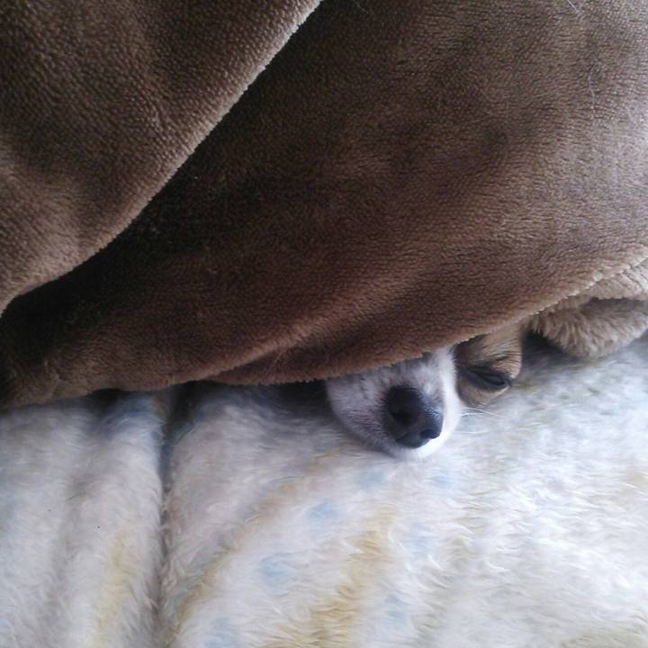 32d1daf5 aceb 48fe b1cb 631a9915655b