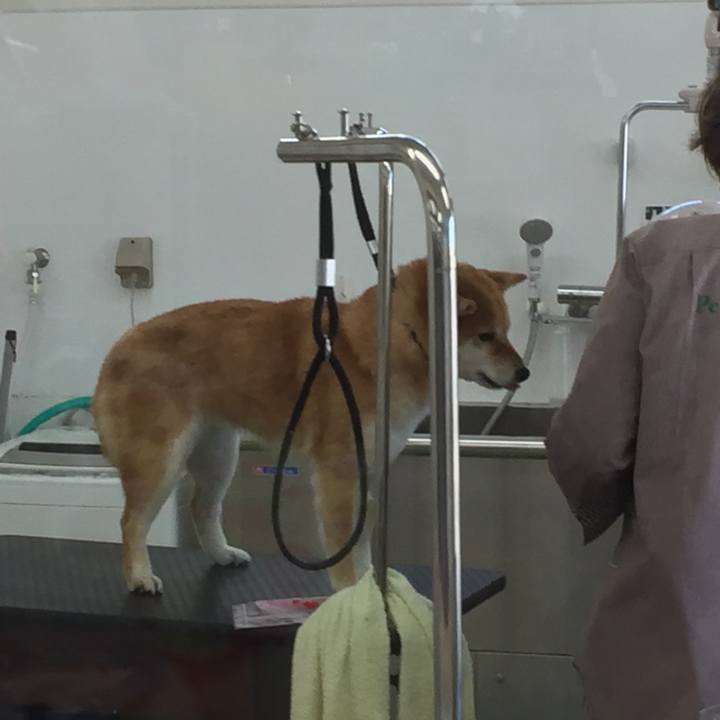 32d1e797 3607 4677 a2b3 0c6a2f979879