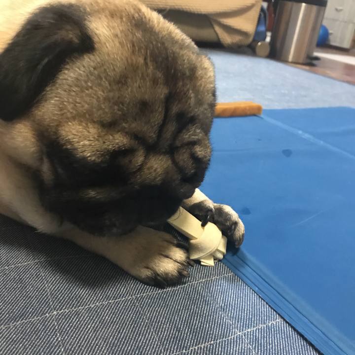 32d29445 e79a 4446 9160 3d303aa39b57