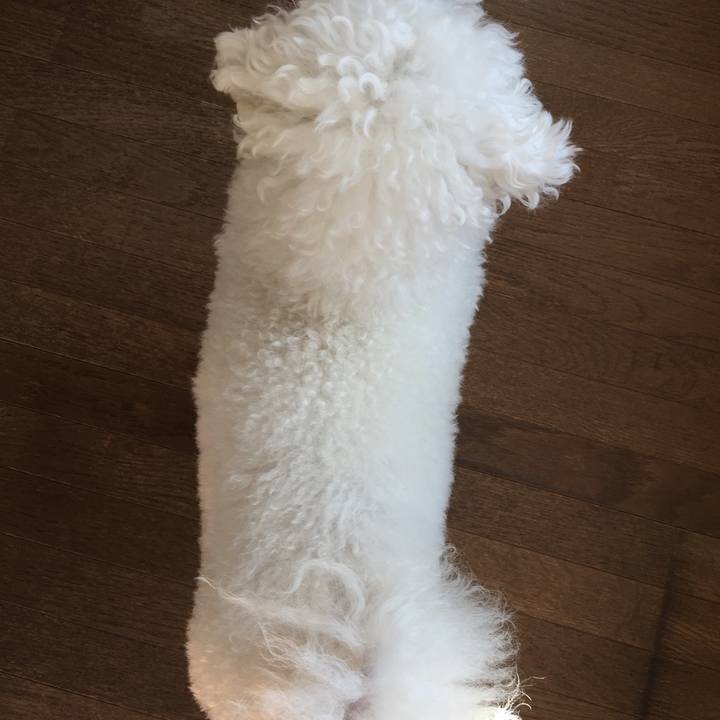 32d2c155 cef7 44c8 93a5 19bbc3e25ba5