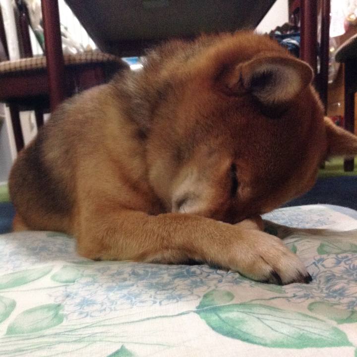 32d2d829 598a 4a50 a464 b3ae995d2497