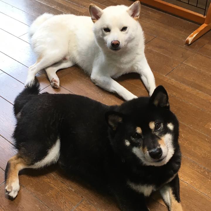 32d2e1ff 0b64 43d0 9e64 360c3a607b84