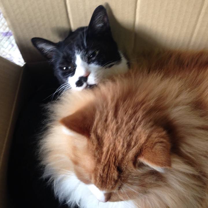 32d327f7 3bee 4abb b19e 784fdf7e95ab