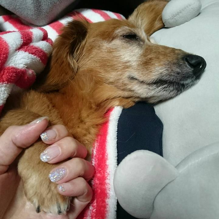 32d3fa33 706a 420e bce0 4bca48202e43