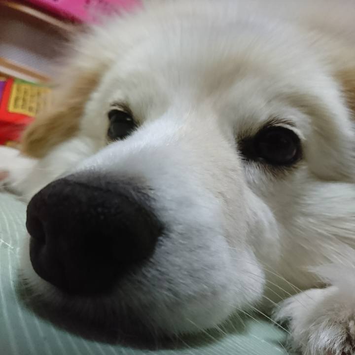 32d4082e 08bd 4fa9 ac97 45f6bacb721f