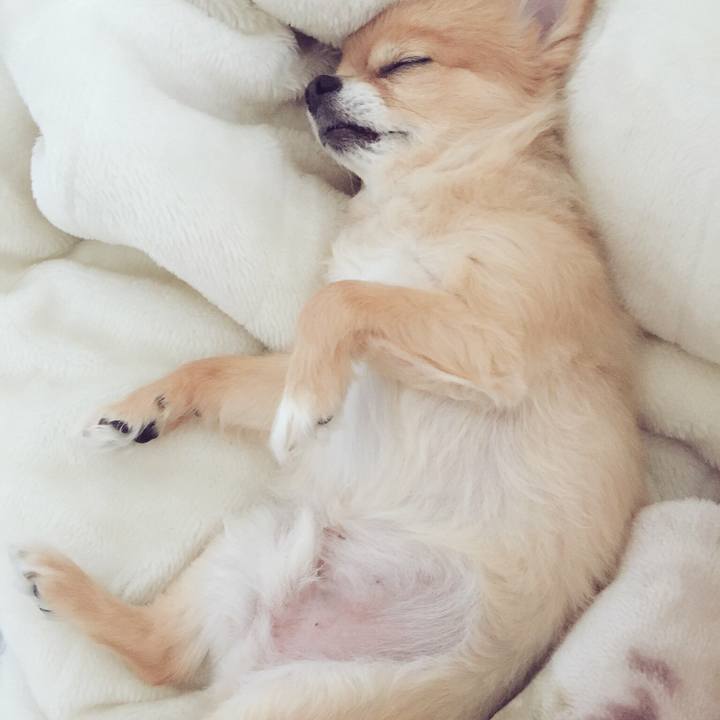 32d51c75 92df 4ea1 a0de 4e27c0622d30