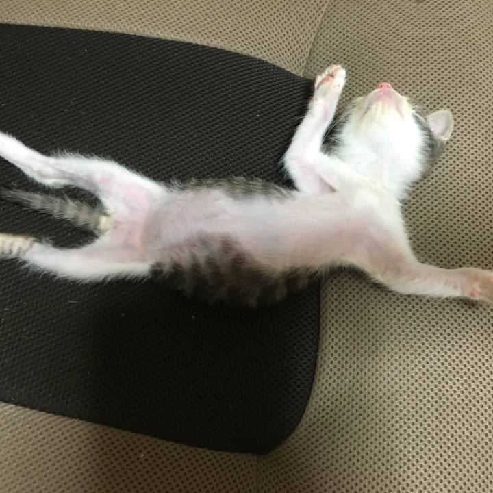 32d52859 736f 4d4c 8d26 1f4bf89fc511