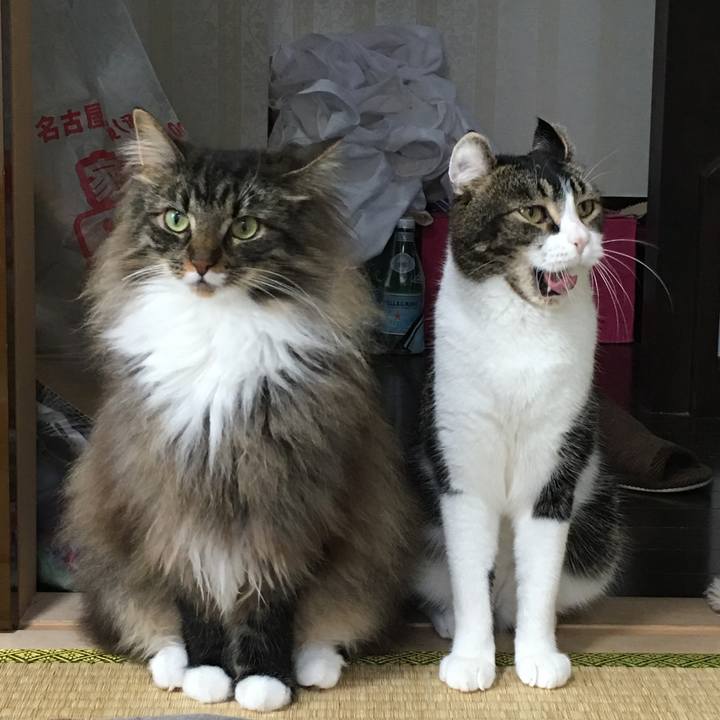 32d56876 240c 4f39 bafe fbbe84bb8a59