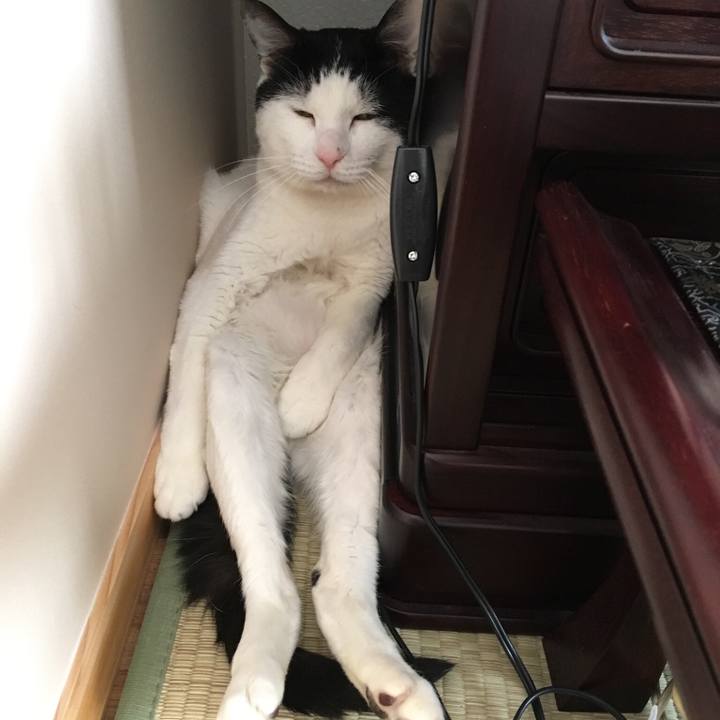 32d5d325 8fa2 485b a624 c1af3f80cb24