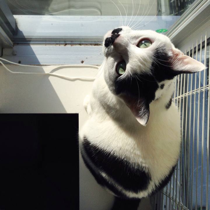 32d6888f be25 4b01 881a 25d73f8ccfd1