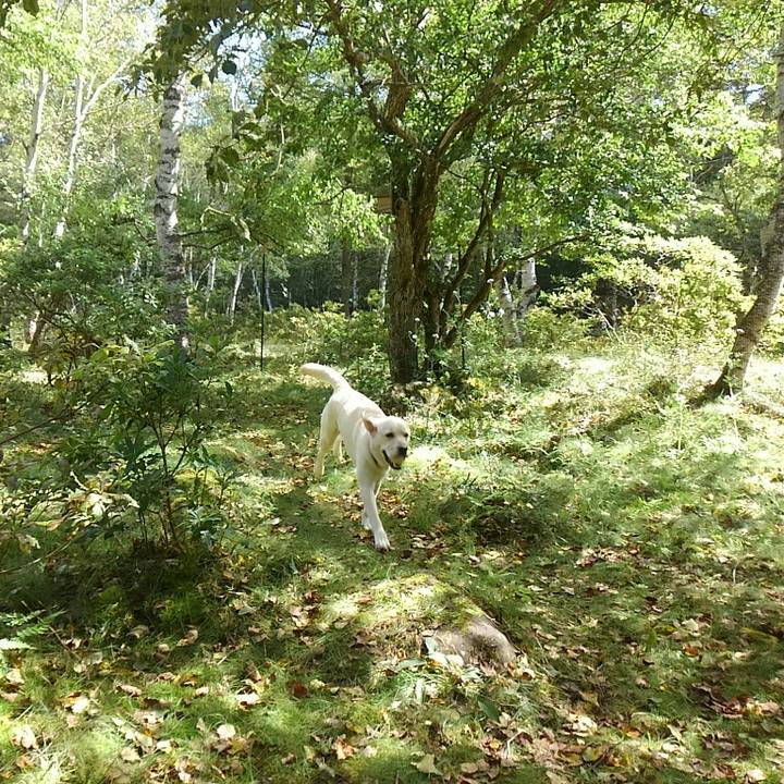 32d69194 0643 4ae3 96b6 e2ae1e864207