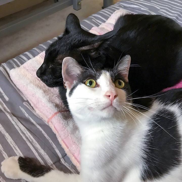 32d693d1 26eb 469a 9e5c 30d25f2a5656