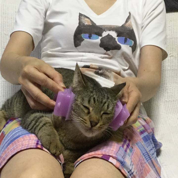 32d7770b 75e7 41e3 979c 7fee26cbd25e