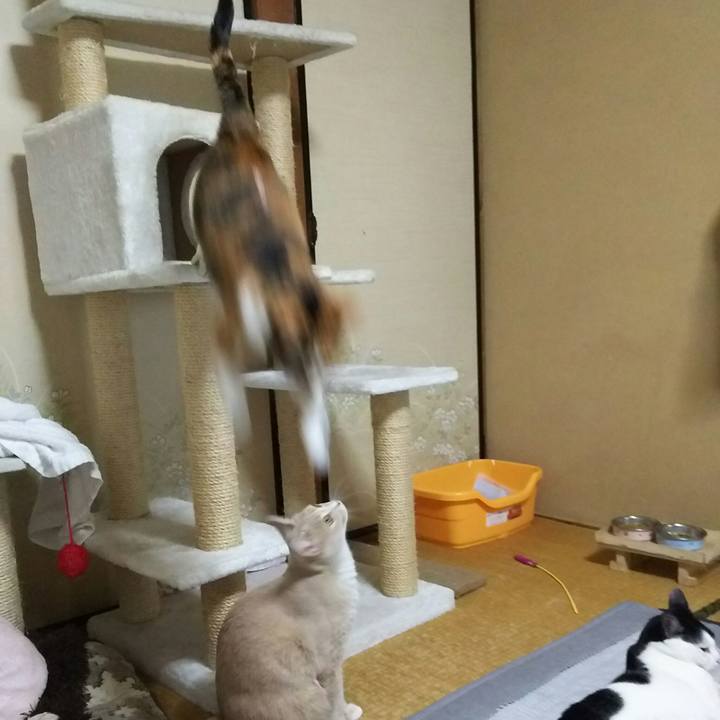 32d795a9 a1e8 4de5 a66f 156a7b1d03af