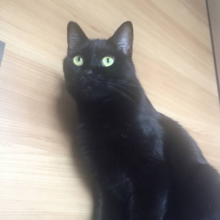 32d7e108 041d 4698 85fb a03c9ad399e3