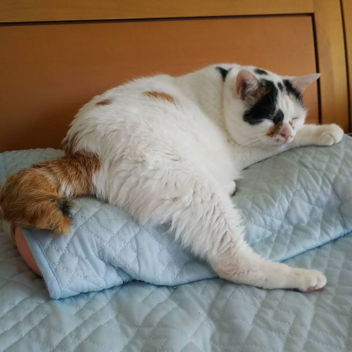 32d7e5fa 6e94 42b2 aa0e 9d38fef3819e