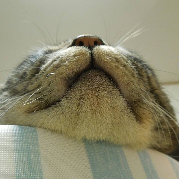 32d8e1d9 490c 4b08 9340 0ecd92fc30a8