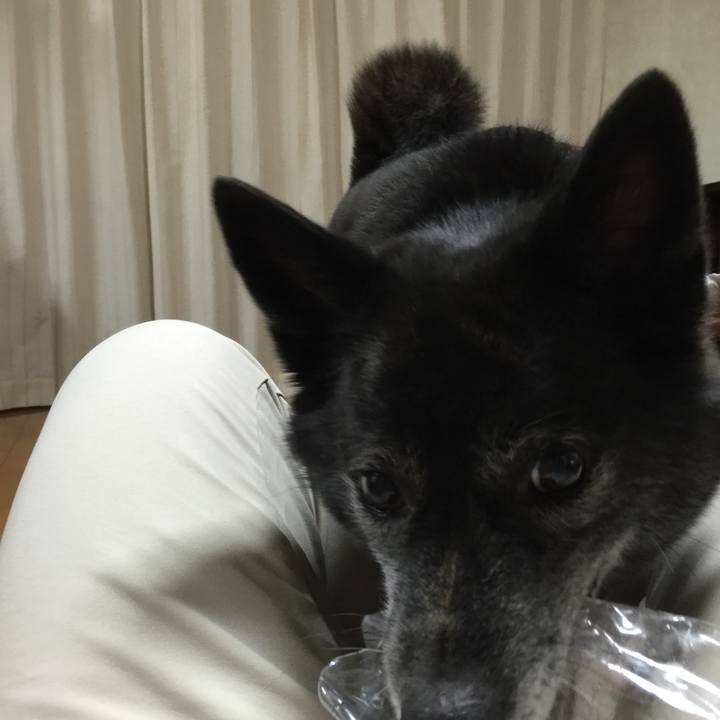 32d9bebf 45d1 4150 a304 b11ec9e13a34