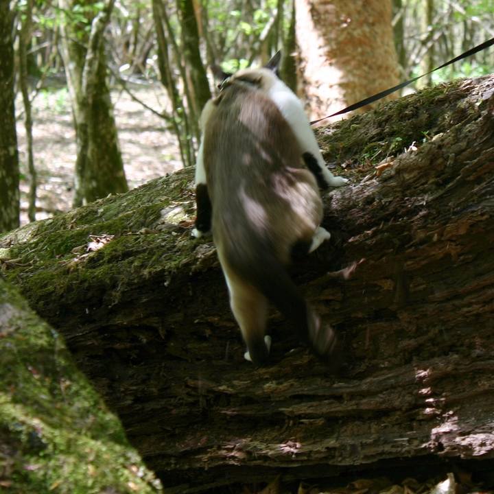 32d9cddc 6db4 4061 8afd 104782cbafc3