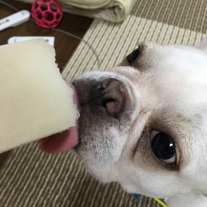 32d9d76d 6dd8 49b1 b0ba 0340e64eec47