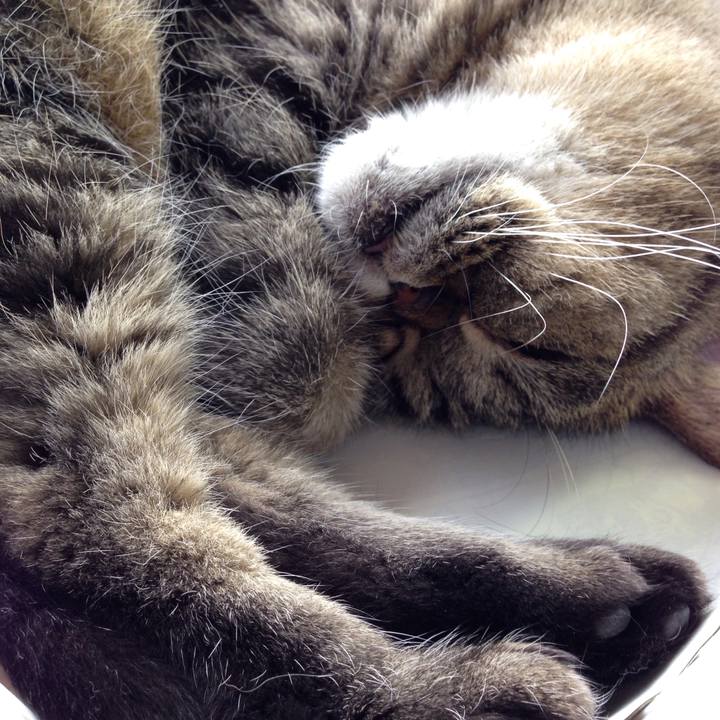 32dac5df 74a0 416b a89f 3359a161ff4c