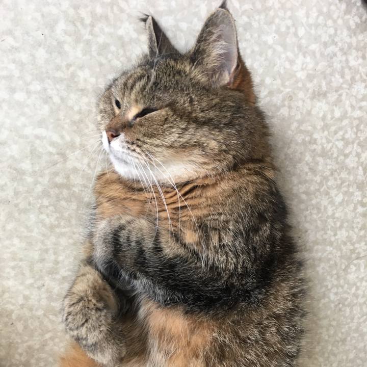 32db589d 62f7 4d1c 8cd9 e904b90a8635