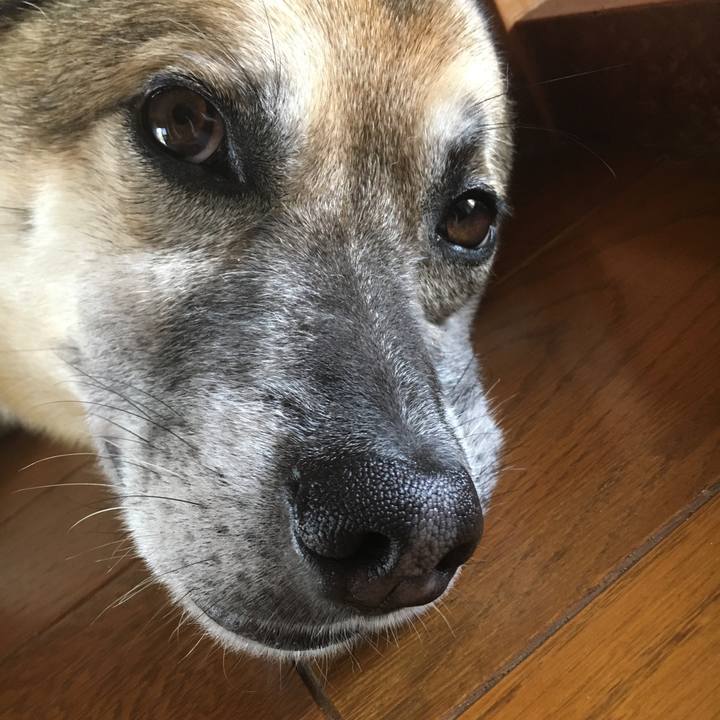 32dbf5e8 2c5a 4291 97b4 2be235265120