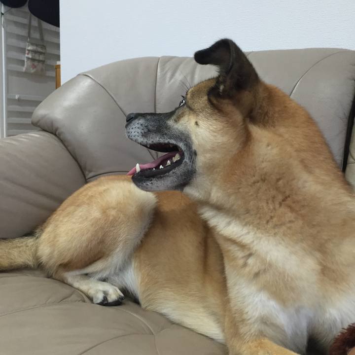 32dc9a5c 875f 4b73 a4ca 8a83b4fd94a6