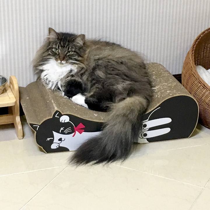 32dcb195 b103 4913 ab5c c770287f24e1