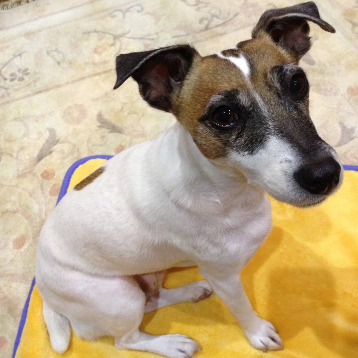 32dd04bb 8c19 462a 95cd b183b5368355