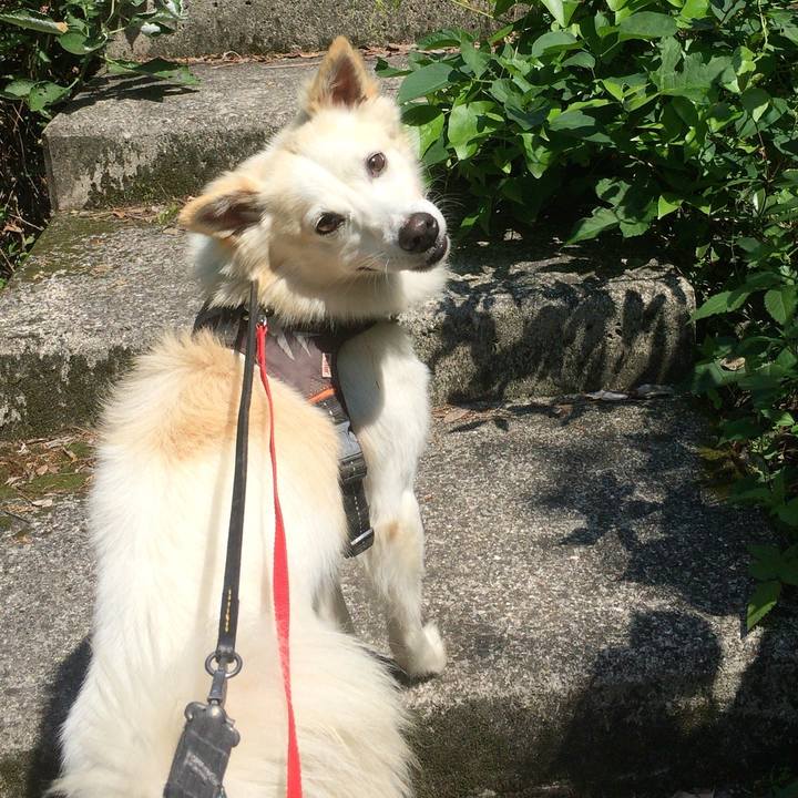 32dda1c6 02b8 4a48 87cc 0887b2545ed7