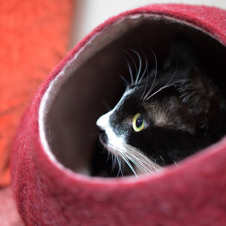 32deeca7 684d 4057 823d 13024bcdf84e