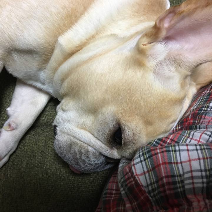 32def302 91fb 42f5 b663 efadf07ac9ee