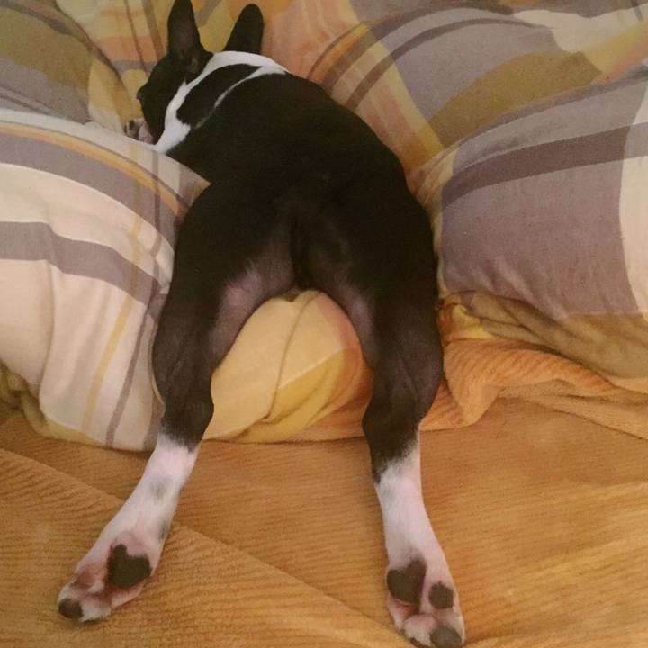 32df2bb6 e2e1 44c1 9545 b53f5e74aa62