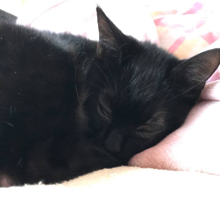 32df35e6 69c5 4b37 97f1 5ac9976b2f40